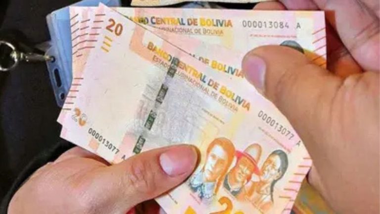 Bono PEPE: ¿Cómo funcionará el apoyo económico de Bs 450 y quiénes lo recibirán?