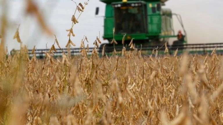 Argentina: seis productores de soja enjuiciado por contaminación con pesticidas