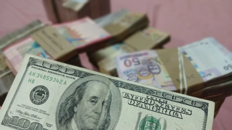 El dólar oficial pierde peso tras 14 años y el referencial domina la economía real