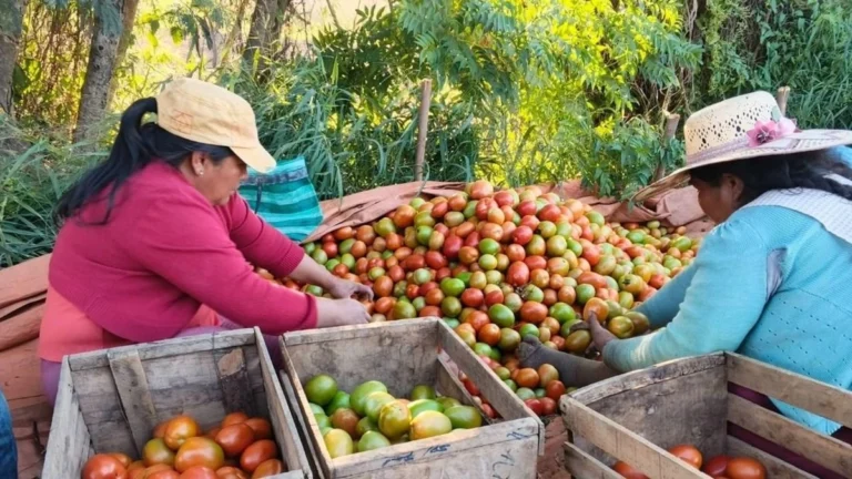 Gobierno alista plan de reactivación para productores afectados por los bloqueos